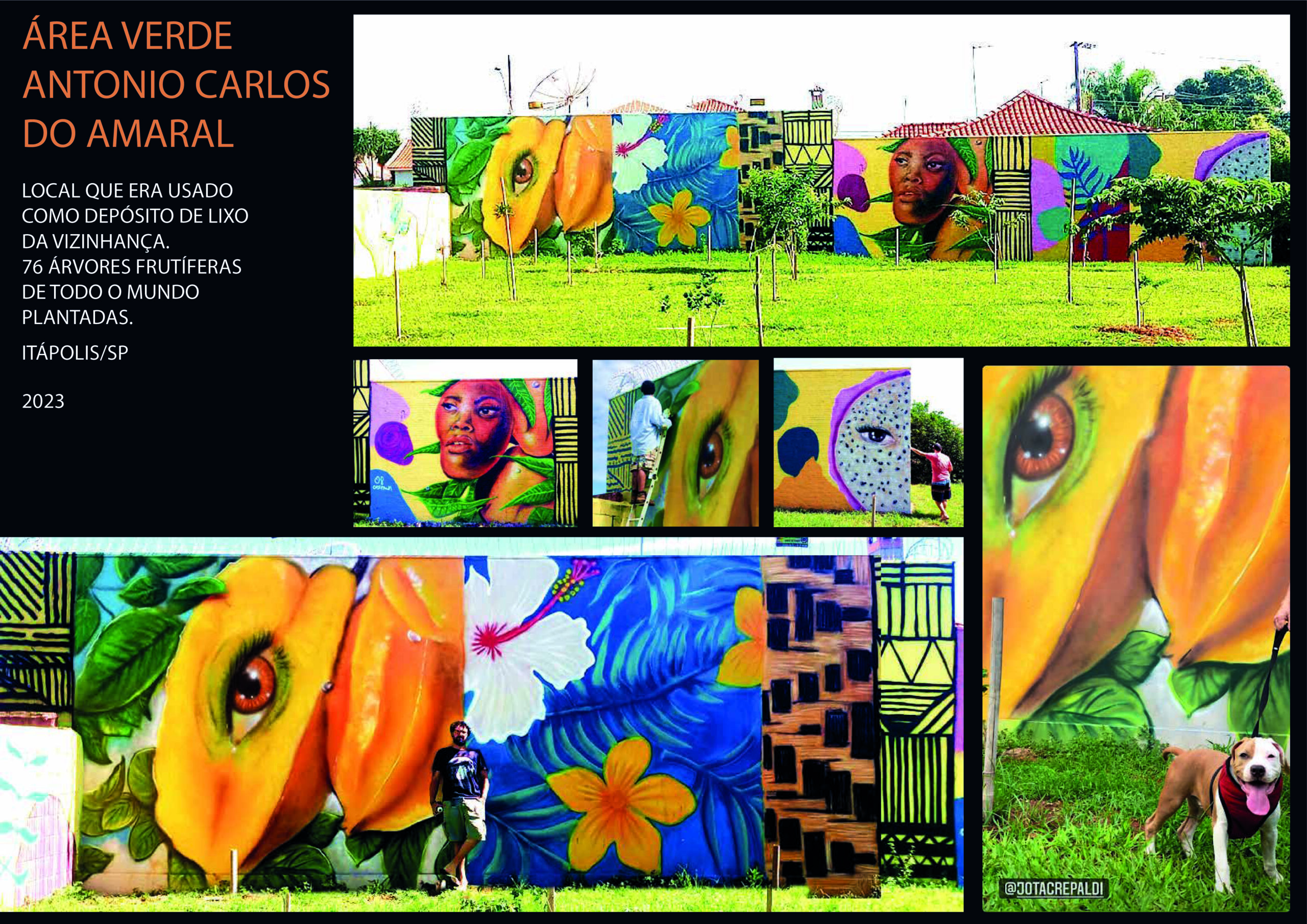 RELEASE - JOTA CREPALDI 2025 AMIGOS DA ARTE-16